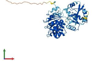 Protein Structure (PS) image for Eukaryotic Translation Initiation Factor 4A3 (EIF4A3) (AA 1-411) protein (His tag) (ABIN7554161)