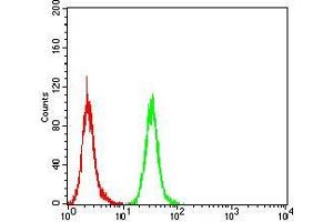 Flow Cytometry (FACS) image for anti-Glutamate Decarboxylase 2 (Pancreatic Islets and Brain, 65kDa) (GAD2) (AA 1-100) antibody (ABIN5542620)