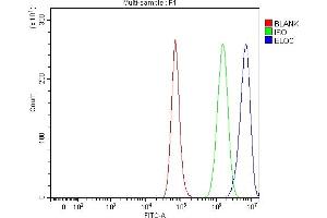 Flow Cytometry analysis of A549 cells using anti-Elongin-C/ELOC antibody (ABIN7598951).