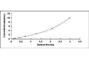 Typical standard curve (C19ORF80 ELISA 试剂盒)