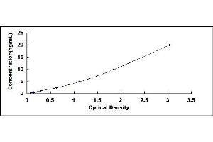 Typical standard curve (CUBN ELISA 试剂盒)