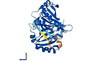Protein Structure (PS) image for Glyoxalase Domain Containing 4 (GLOD4) (AA 1-313) protein (His tag) (ABIN7547994)