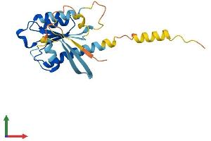 Protein Structure (PS) image for RERG/RAS-Like (RERGL) (AA 1-205) protein (His tag) (ABIN7551324)