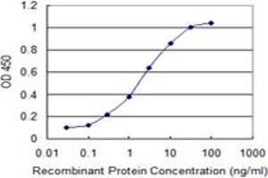 Detection limit for recombinant GST tagged CHST12 is 0. (CHST12 抗体  (AA 56-150))