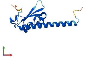 Protein Structure (PS) image for Developmental Pluripotency Associated 5 (DPPA5) (AA 1-116) protein (His tag) (ABIN7547127)