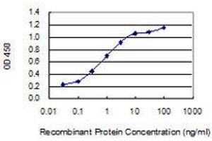 Detection limit for recombinant GST tagged CORT is 0. (CORT 抗体  (AA 1-155))