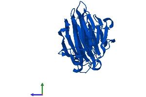 Protein Structure (PS) image for Pirin (PIR) (AA 1-290) protein (His tag) (ABIN7561063)