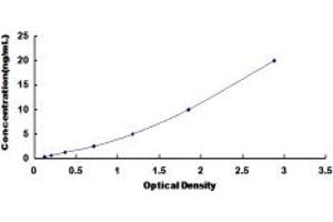 Typical standard curve (POT1 ELISA 试剂盒)