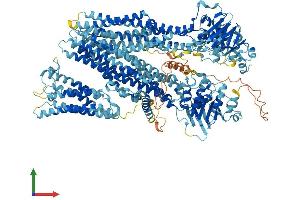 AlphaFold protein structure predicition of Human Recombinant ABCC3 Protein, UniprotID O15438