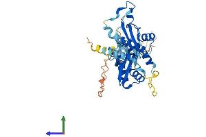 Protein Structure (PS) image for SWI/SNF Related, Matrix Associated, Actin Dependent Regulator of Chromatin, Subfamily B, Member 1 (SMARCB1) (AA 1-385) protein (His tag) (ABIN7555510)