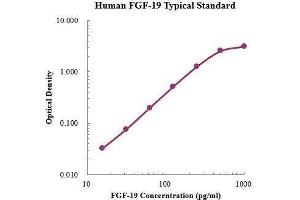 ELISA image for Fibroblast Growth Factor 19 (FGF19) ELISA Kit (ABIN3198530) (FGF19 ELISA 试剂盒)