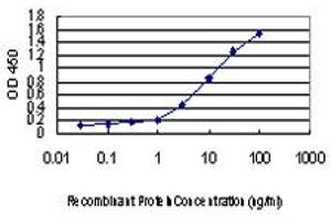 Detection limit for recombinant GST tagged IKBKAP is approximately 0. (IKAP/p150 抗体  (AA 1242-1331))
