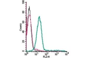 Cell surface detection of GPR65 in live intact human THP-1 monocytic leukemia cells: (black line) Cells. (GPR65 抗体  (Extracellular) (PE))