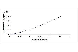 Typical standard curve (KRT23 ELISA 试剂盒)