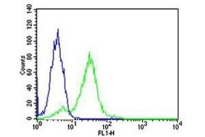 Flow cytometric analysis of HeLa cells using RPS6 antibody (green) and an isotype control of mouse IgG1 (blue); Ab was diluted at 1:25 dilution. (RPS6 抗体)