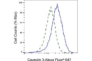 Validation of Caveolin 3 knockdown using flow cytometry.