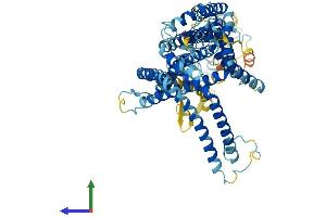Protein Structure (PS) image for Solute Carrier Family 44, Member 2 (SLC44A2) (AA 1-706) protein (His tag) (ABIN7559014)