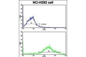 Flow Cytometry (FACS) image for anti-MAX-Like Protein X (MLX) (AA 125-151) antibody (ABIN652578)