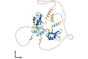 Protein Structure (PS) image for CUGBP, Elav-Like Family Member 4 (CELF4) (AA 1-486) protein (His tag) (ABIN7553233)