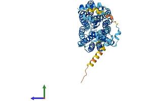 Protein Structure (PS) image for Solute Carrier Family 22 (Organic Cation Transporter), Member 1 (SLC22A1) (AA 1-556) protein (His tag) (ABIN7562230)