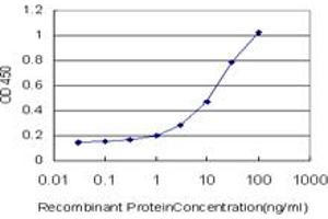 Detection limit for recombinant GST tagged OXSR1 is approximately 1ng/ml as a capture antibody. (OXSR1 抗体  (AA 351-450))