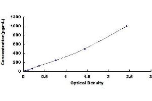 Typical standard curve (IL-2 ELISA 试剂盒)