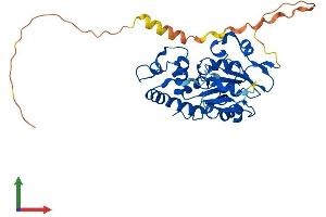 Protein Structure (PS) image for Heparan Sulfate (Glucosamine) 3-O-Sulfotransferase 6 (HS3ST6) (AA 1-342) protein (His tag) (ABIN7557455)