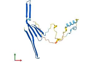 Protein Structure (PS) image for Titin-Cap (Telethonin) (TCAP) (AA 1-167) protein (His tag) (ABIN7544368)