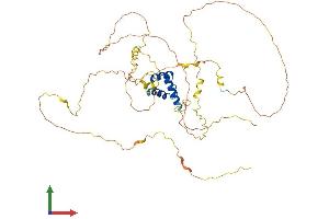 AlphaFold protein structure predicition of Human Recombinant IRX1 Protein, UniprotID P78414