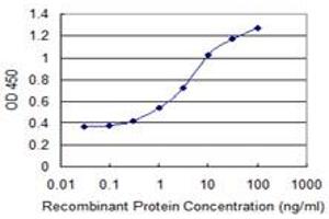 Detection limit for recombinant GST tagged ZSCAN18 is 0. (ZSCAN18 抗体  (AA 1-510))