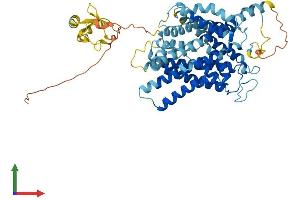 Protein Structure (PS) image for Solute Carrier Family 38, Member 9 (SLC38A9) (AA 1-561) protein (His tag) (ABIN7555305)
