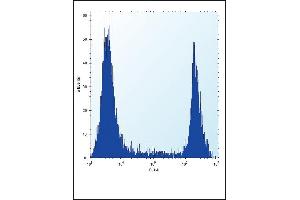 HPRT1 Antibody (N-term) (ABIN652234 and ABIN2840981) flow cytometric analysis of 293 cells (right histogram) compared to a negative control cell (left histogram). (HPRT1 抗体  (N-Term))