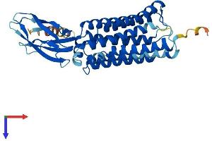 CTNS Protein (AA 1-367) (His tag)
