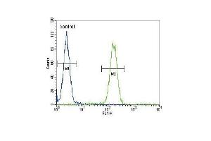 Flow Cytometry (FACS) image for anti-Sodium Channel, Nonvoltage-Gated 1 alpha (SCNN1A) (AA 365-391) antibody (ABIN652752)