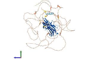 AlphaFold protein structure predicition of Mouse Recombinant Nfatc2 Protein, UniprotID Q60591