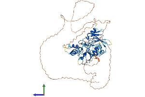 Protein Structure (PS) image for Zinc Finger, SWIM-Type Containing 2 (ZSWIM2) (AA 1-633) protein (His tag) (ABIN7545510)