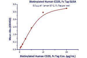 CD28 (CD28) (AA 19-152) (Active) protein (Fc Tag,AVI tag,Biotin)