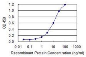 Detection limit for recombinant GST tagged MKRN1 is 0. (MKRN1 抗体  (AA 365-440))