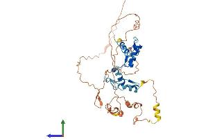 Protein Structure (PS) image for YY2 Transcription Factor (YY2) (AA 1-372) protein (His tag) (ABIN7544826)