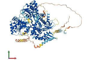 Protein Structure (PS) image for DEAH (Asp-Glu-Ala-His) Box Polypeptide 36 (DHX36) (AA 1-1008) protein (His tag) (ABIN7553706)