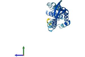 Protein Structure (PS) image for COMM Domain Containing 2 (COMMD2) (AA 1-199) protein (His tag) (ABIN7546708)