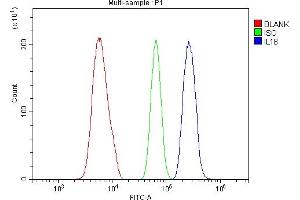 Flow Cytometry analysis of ANA-1 cells using anti-IL18 antibody (ABIN7601462).