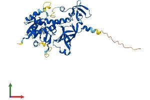 Protein Structure (PS) image for tRNA 5-Methylaminomethyl-2-Thiouridylate Methyltransferase (TRMU) (AA 1-417) protein (His tag) (ABIN7561243)