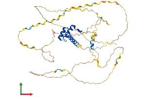 AlphaFold protein structure predicition of Human Recombinant HOXA3 Protein, UniprotID O43365