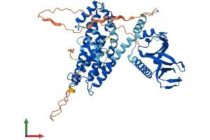 Protein Structure (PS) image for Cdc42 Guanine Nucleotide Exchange Factor (GEF) 9 (Arhgef9) (AA 1-516) protein (His tag) (ABIN7552206)