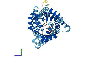 AlphaFold protein structure predicition of Human Recombinant SLC25A16 Protein, UniprotID P16260