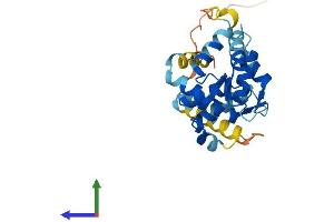 Protein Structure (PS) image for Kv Channel Interacting Protein 1 (KCNIP1) (AA 1-227) protein (His tag) (ABIN7548686)