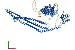 AlphaFold protein structure predicition of Human Recombinant ACAP1 Protein, UniprotID Q15027