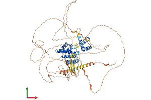 Protein Structure (PS) image for Homeobox protein SIX5 (SIX5) (AA 1-739) protein (His tag) (ABIN7555570)