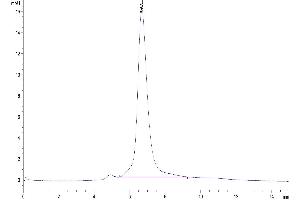 Size-exclusion chromatography-High Pressure Liquid Chromatography (SEC-HPLC) image for Receptor tyrosine-protein kinase erbB-2 (ErbB2/Her2) (AA 23-652) protein (His-Avi Tag) (ABIN7274799)